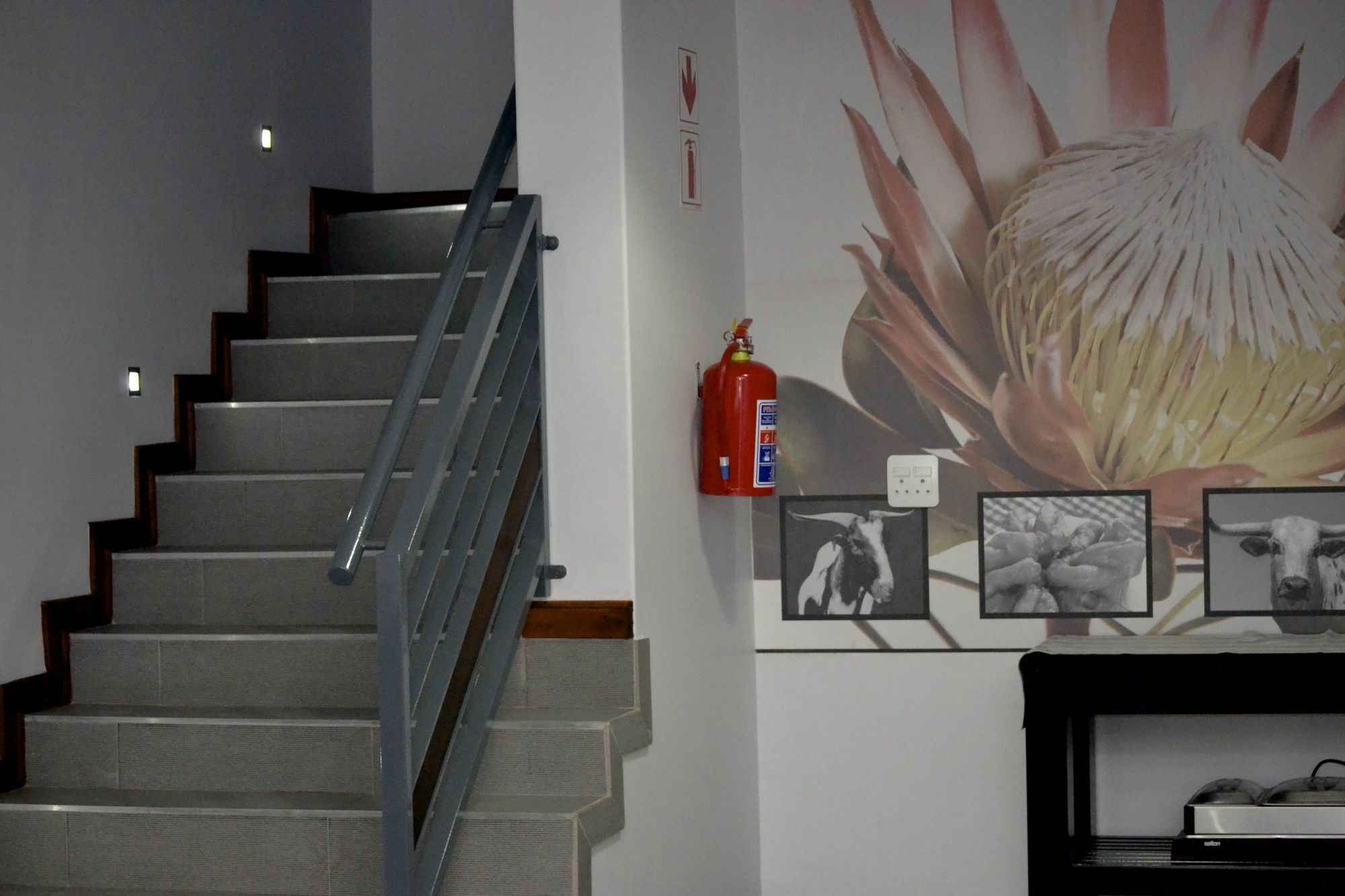 Yalla Yalla Boutique Hotel ウィットバンク エクステリア 写真